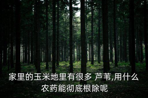家里的玉米地里有很多 蘆葦,用什么 農藥能徹底根除呢