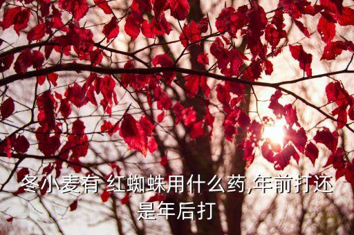 冬天用什么農(nóng)藥殺紅蜘蛛,殺紅蜘蛛卵蟲效果最好的農(nóng)藥