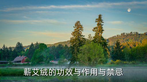 蘄艾絨的功效與作用與禁忌