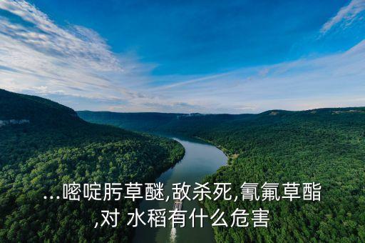 ...嘧啶肟草醚,敵殺死,氰氟草酯,對 水稻有什么危害