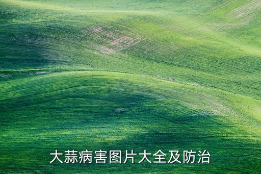 大蒜病害圖片大全及防治