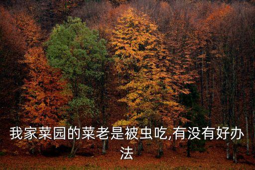 蟲子吃菜葉用什么農藥,菜葉上的蟲子叫什么
