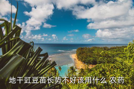 豆角和什么一起炒好吃,豆角用什么農藥好吃
