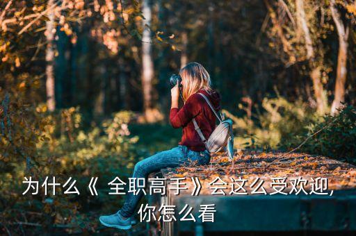 為什么《 全職高手》會這么受歡迎,你怎么看