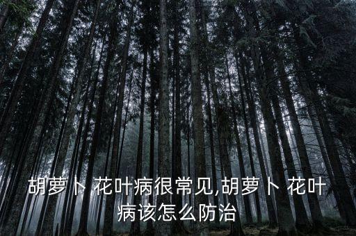 胡蘿卜 花葉病很常見,胡蘿卜 花葉病該怎么防治