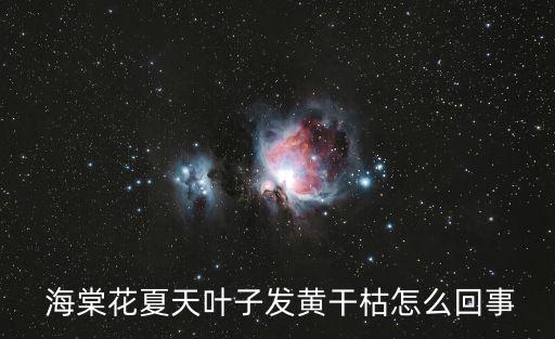 什么農藥治海棠病好呢圖片