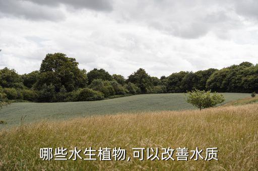 什么農藥能殺死水綠萍,用什么農藥可以將樹木殺死