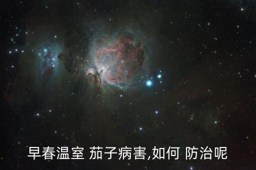 早春溫室 茄子病害,如何 防治呢