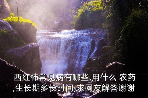 種西紅柿打什么農藥才好,西紅柿會不會打農藥