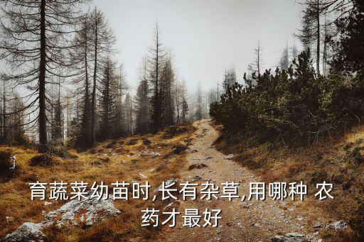 育蔬菜幼苗時,長有雜草,用哪種 農藥才最好