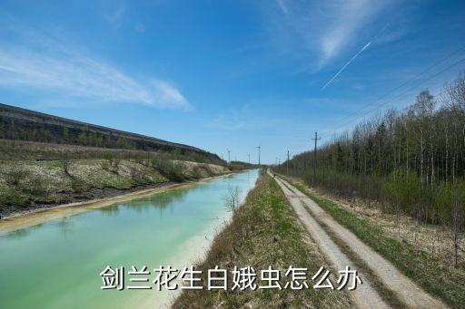 什么農藥可以消滅白蛾,白蛾用什么農藥