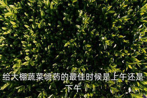 給大棚蔬菜噴藥的最佳時(shí)候是上午還是下午