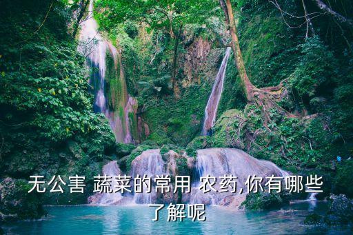 無公害 蔬菜的常用 農藥,你有哪些了解呢