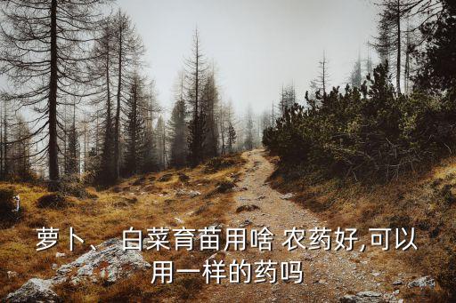 蘿卜、 白菜育苗用啥 農(nóng)藥好,可以用一樣的藥嗎