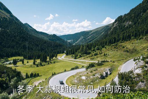 大蒜的地蛆用什么農藥,大蒜地蛆用什么藥效果好