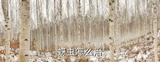 厭蟲用什么農(nóng)藥,打茶葉蟲什么農(nóng)藥最好