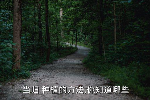  當歸 種植的方法,你知道哪些