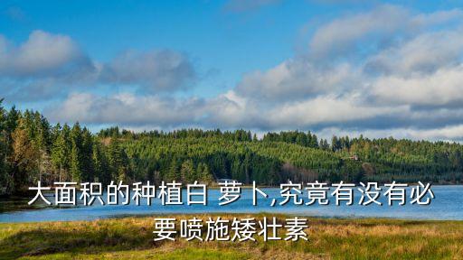 大面積的種植白 蘿卜,究竟有沒有必要噴施矮壯素