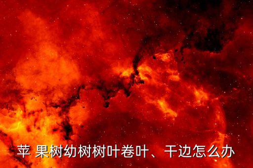 蘋 果樹幼樹樹葉卷葉、干邊怎么辦