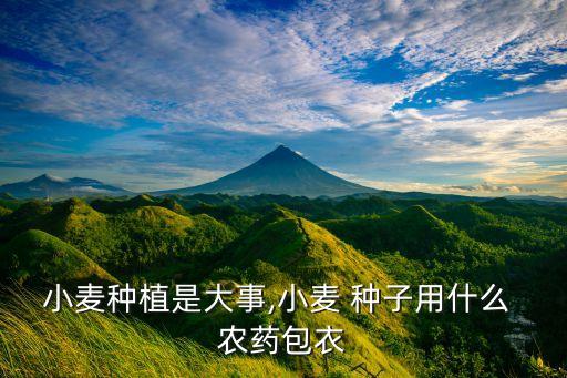 小麥種植是大事,小麥 種子用什么 農藥包衣