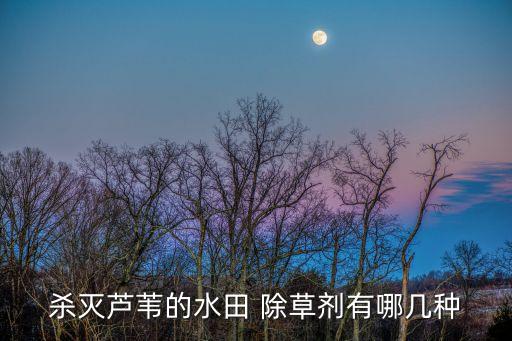 什么農(nóng)藥可以除草消毒,冬天用什么農(nóng)藥除草