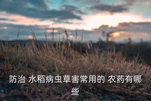 防治 水稻病蟲草害常用的 農(nóng)藥有哪些
