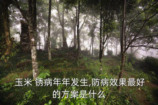  玉米 銹病年年發生,防病效果最好的方案是什么