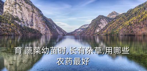 育 蔬菜幼苗時,長有雜草,用哪些 農藥最好