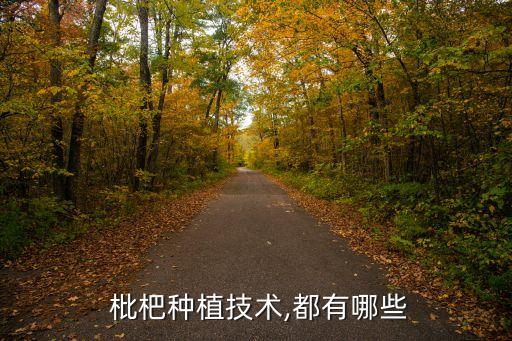  枇杷種植技術,都有哪些