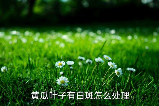 黃瓜的白毛病用什么農藥,黃瓜幼苗打什么農藥