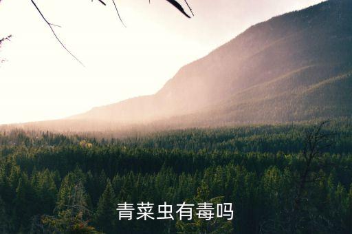 青菜蟲有毒嗎