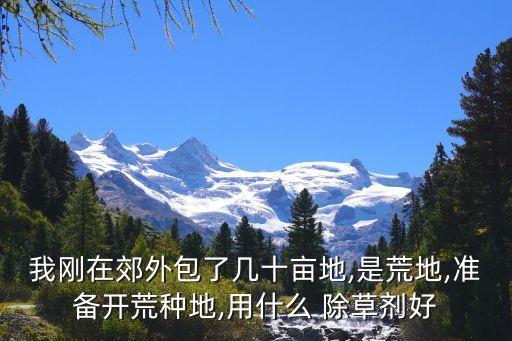 我剛在郊外包了幾十畝地,是荒地,準備開荒種地,用什么 除草劑好