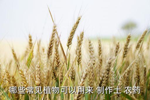 制作農(nóng)藥需要什么,什么元素用于制作農(nóng)藥