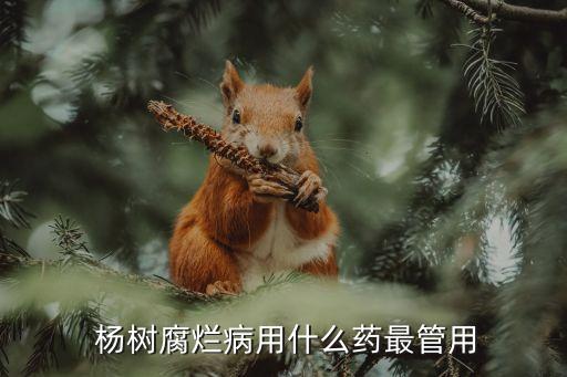 噴什么農藥不傷楊樹,香菜一般噴什么農藥
