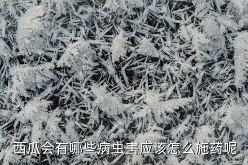  西瓜會有哪些病蟲害應該怎么施藥呢