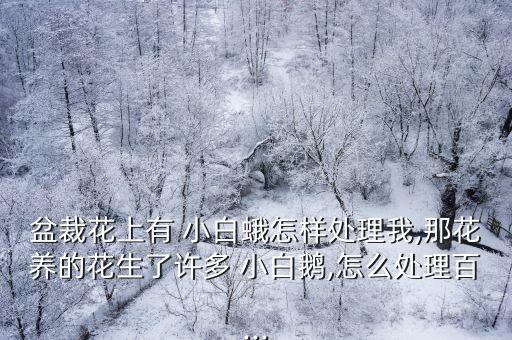 茶葉上小白飛蛾用什么農(nóng)藥
