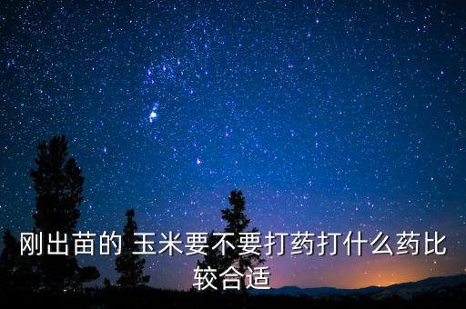 剛出苗的 玉米要不要打藥打什么藥比較合適