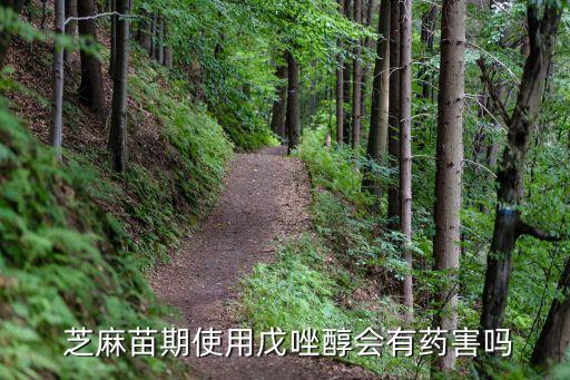 芝麻中期打什么農(nóng)藥,芝麻打農(nóng)藥嗎
