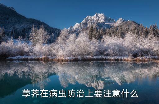  荸薺在病蟲(chóng)防治上要注意什么