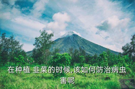新韭菜上用什么農藥殺菌,韭菜一般打什么農藥