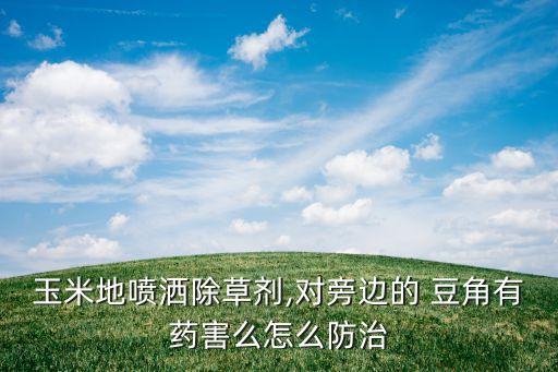 豆角農(nóng)藥傷害用什么解救,豆角主要打什么農(nóng)藥