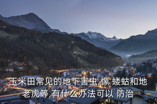 玉米田常見(jiàn)的地下害蟲(chóng),像 螻蛄和地老虎等,有什么辦法可以 防治