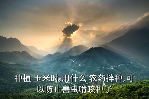 新疆玉米用什么農藥好打,玉米爛心用什么農藥治