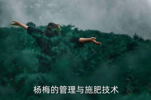  楊梅的管理與施肥技術(shù)