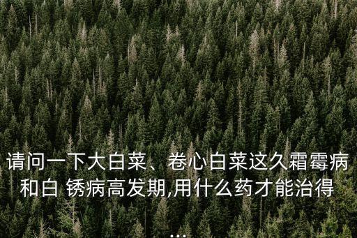 請問一下大白菜、卷心白菜這久霜霉病和白 銹病高發期,用什么藥才能治得...
