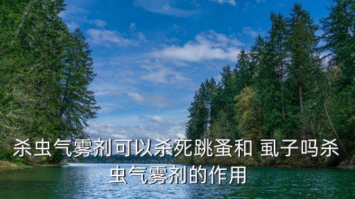 殺蟲氣霧劑可以殺死跳蚤和 虱子嗎殺蟲氣霧劑的作用