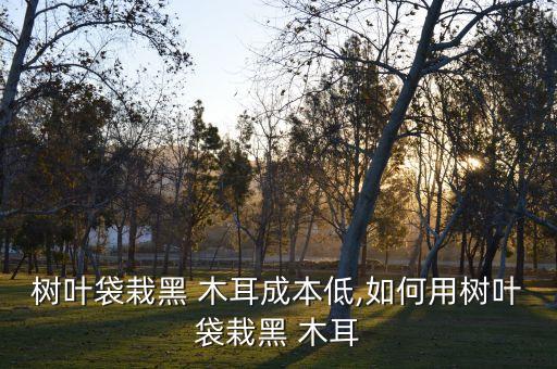 大棚種植木耳用什么農藥,種植木耳的大棚需要多少錢