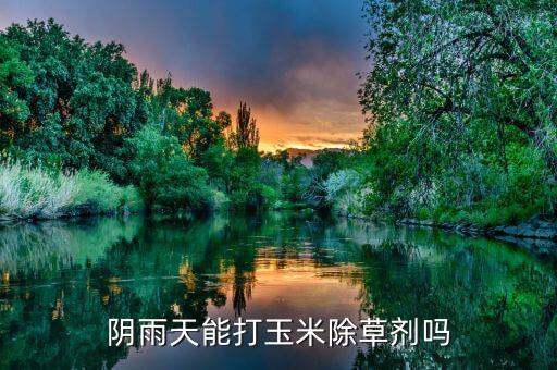 農村下雨打什么農藥,打農藥下雨有沒有影響