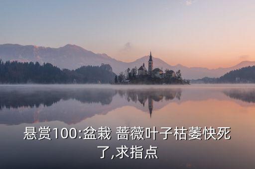薔薇秧用什么農藥爛根,什么農藥可以讓樹爛根