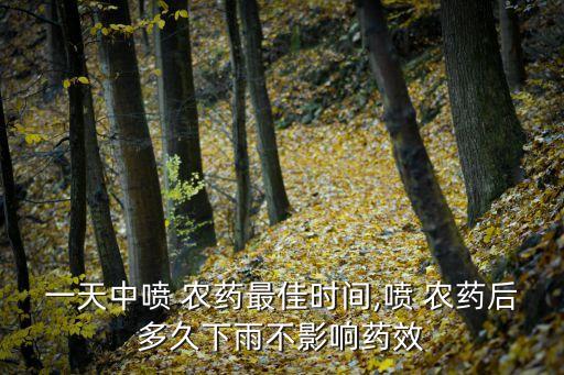 一天中噴 農藥最佳時間,噴 農藥后多久下雨不影響藥效
